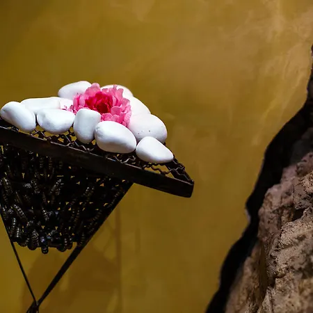 Hotel Arena Di Serdica 5*